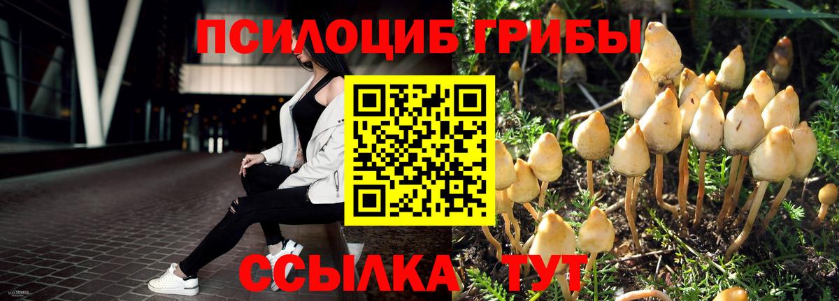 Галлюциногенные грибы прущие грибы  Вход с VPN  Псилоцибиновые грибы GOLDEN TEACHER  Лабытнанги 